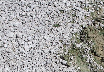 Hypolithic Photosynthesis in Hydrothermal Areas and Implications for Cryptic Oxygen Oases on Archean Continental Surfaces